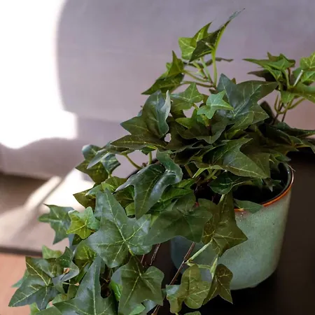 Huswell - Sunny Bright In The Center Of 公寓