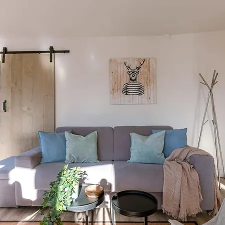 Casiola - Sunny Bright In The Center Of Le Coq