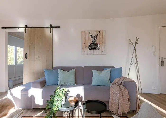 Casiola - Sunny Bright In The Center Of Le Coq