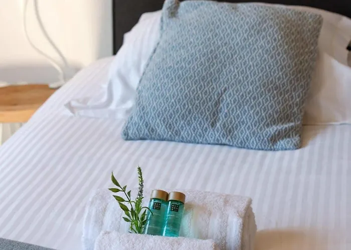 Casiola - Sunny Bright In The Center Of Le Coq